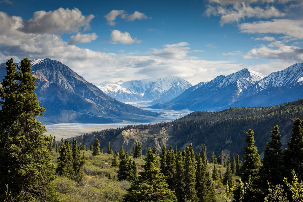 Environmental Sustainability Report